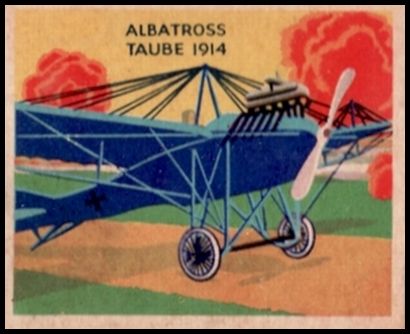 42 Albatross Taube